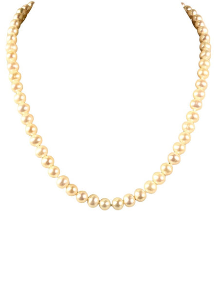 SS Knotted Pearl Strand Necklace