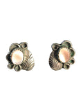 SS Shell Earrings