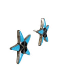 R sterling turquoise shell inlay star earrings