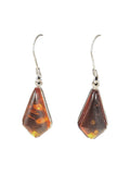 SS Amber Earrings